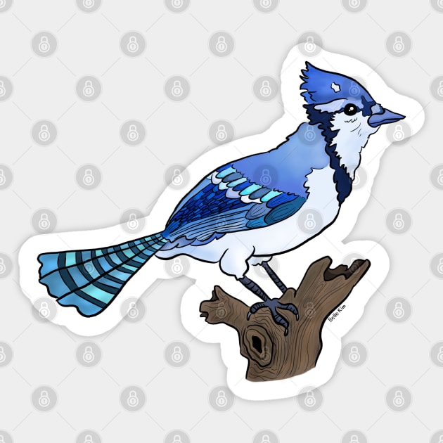 Bluejay bird on branch Sticker by doodletokki